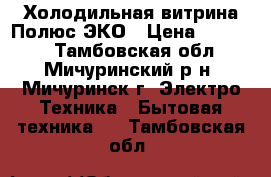 Холодильная витрина Полюс ЭКО › Цена ­ 15 000 - Тамбовская обл., Мичуринский р-н, Мичуринск г. Электро-Техника » Бытовая техника   . Тамбовская обл.